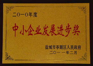 發(fā)展進步獎