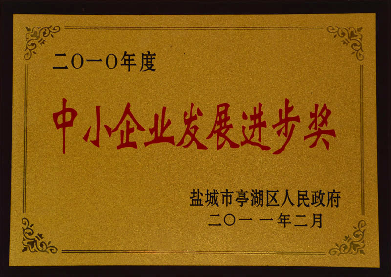 發(fā)展進(jìn)步獎(jiǎng).jpg
